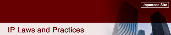 IP Laws and Practices